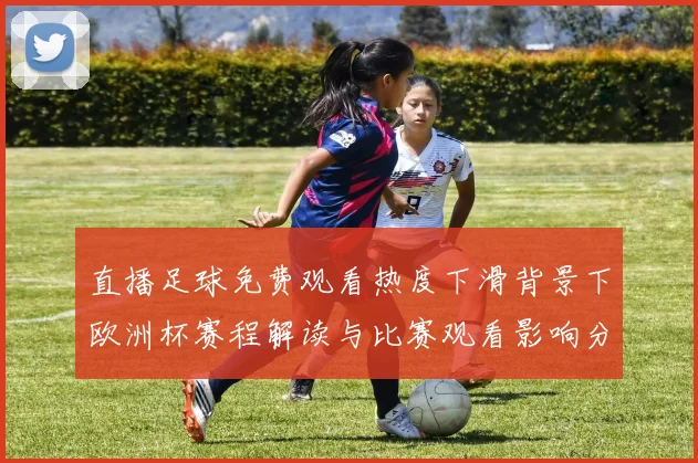 直播足球免费观看热度下滑背景下欧洲杯赛程解读与比赛观看影响分析