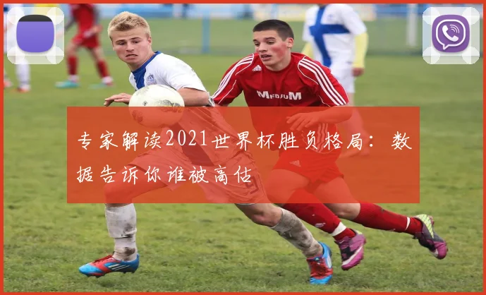 专家解读2021世界杯胜负格局:数据告诉你谁被高估