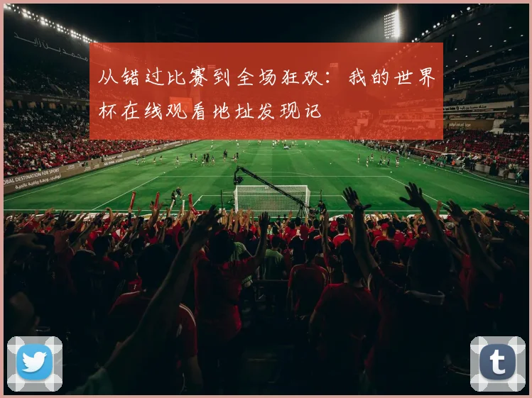 从错过比赛到全场狂欢：我的世界杯在线观看地址发现记