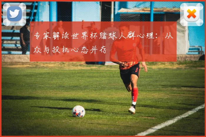专家解读世界杯赌球人群心理:从众与投机心态并存